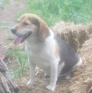 Meet your Posher, John r